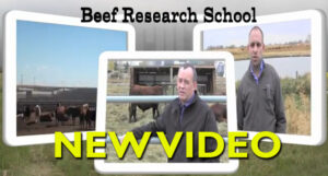 Click for the latest Beef Research School video
