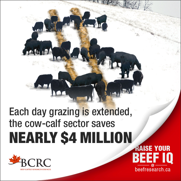 Click to learn more about extended grazing systems.