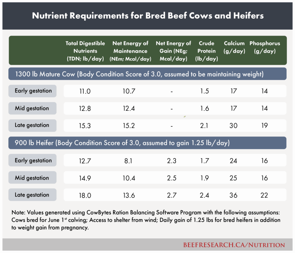 nutrient requirements of beef cows and heifers