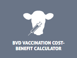 The Beef Cattle Research Council's bovine viral diarrhea vaccination cost-benefit calculator