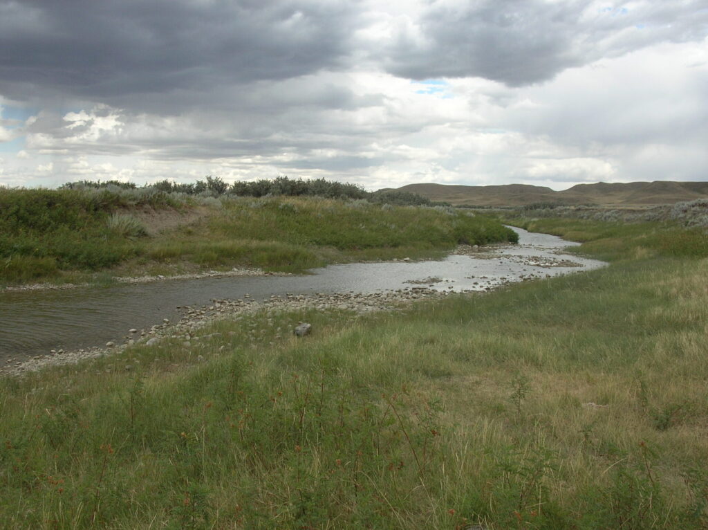 River and riparian area