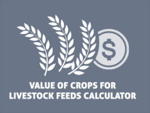 The Beef Cattle Research Council's value of crops for livestock feeds calculator
