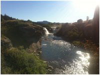 water and beef cattle
