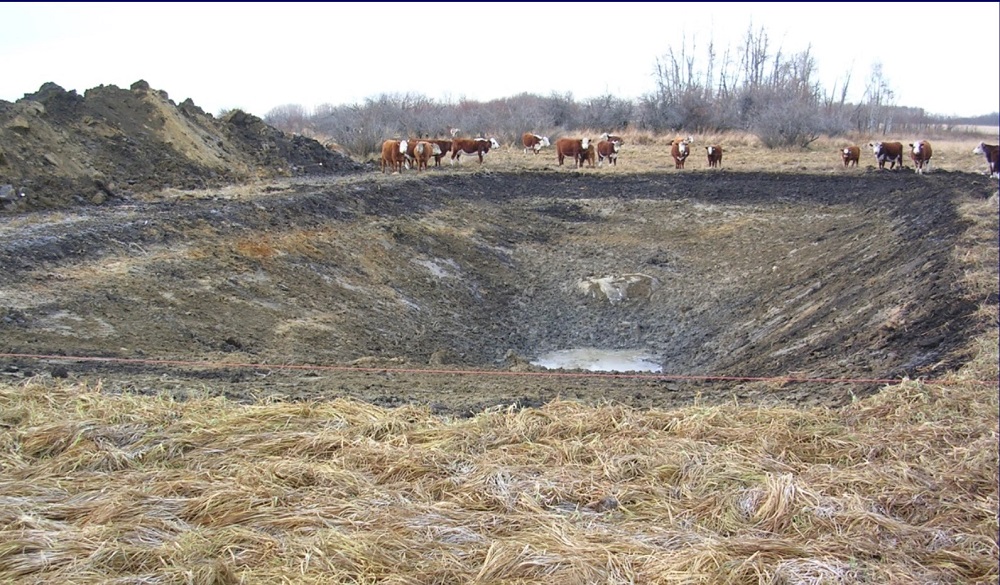 water dugout for cattle