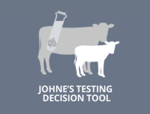 The Beef Cattle Research Council's Johne's Testing Decision Tool