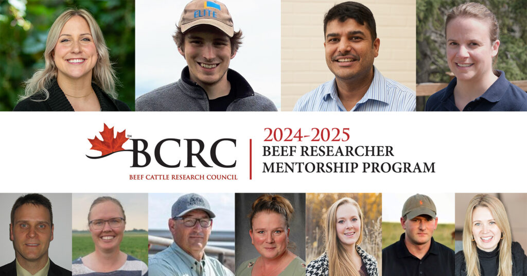 2024-25 Beef Researcher Mentorship Program