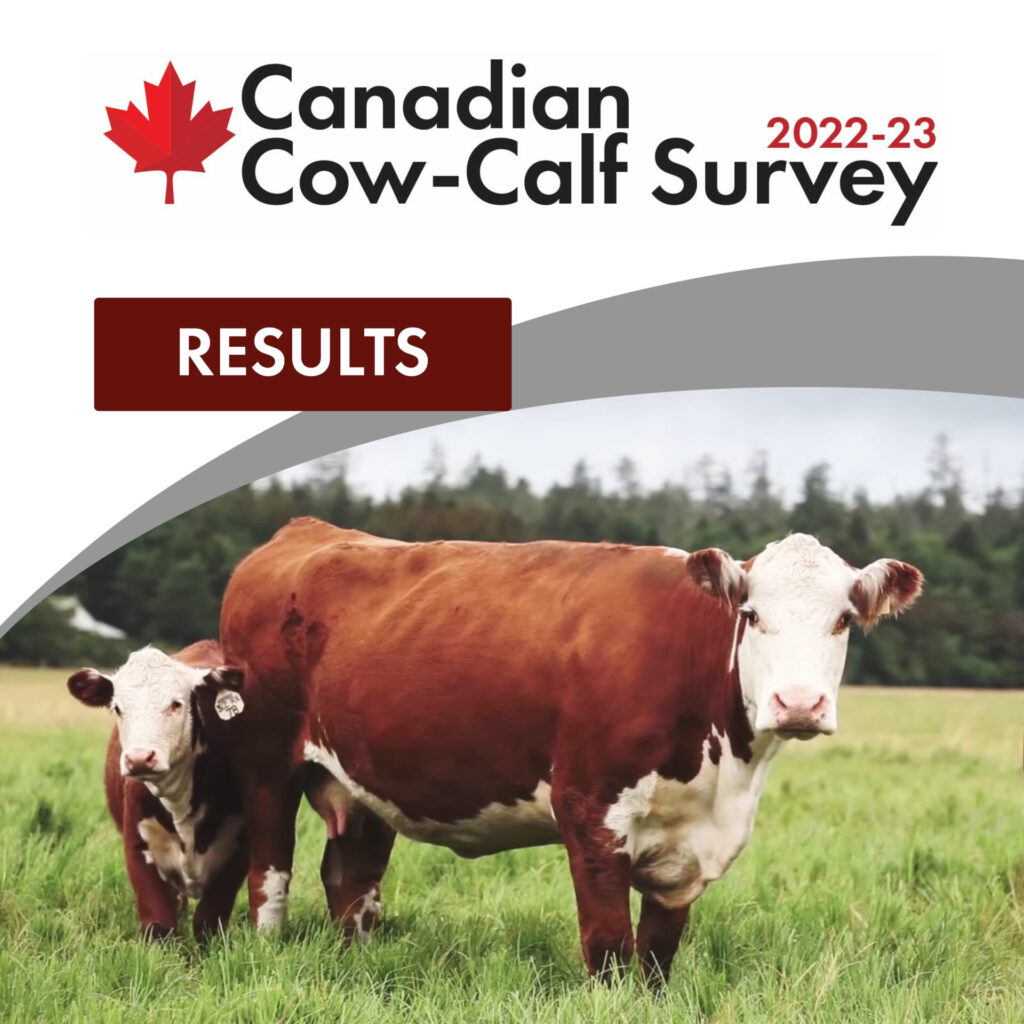 2022-2023 Canadian Cow-Calf Survey results
