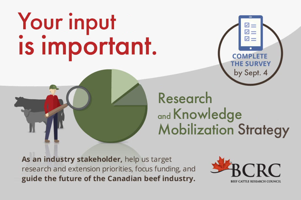 Your input is important on the Research and Knowledge Mobilization Strategy. Complete the survey by Sept. 4. 