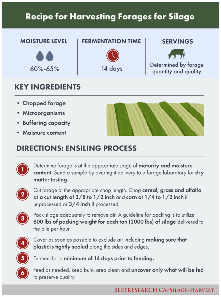 recipe for harvesting forages for silage