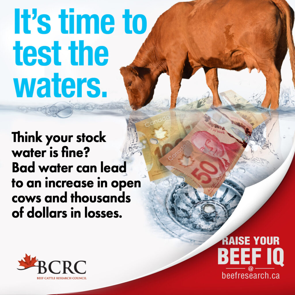 It' time to test your stock water. 