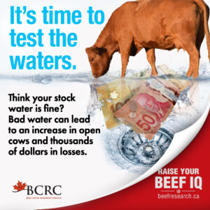 It' time to test your stock water.
