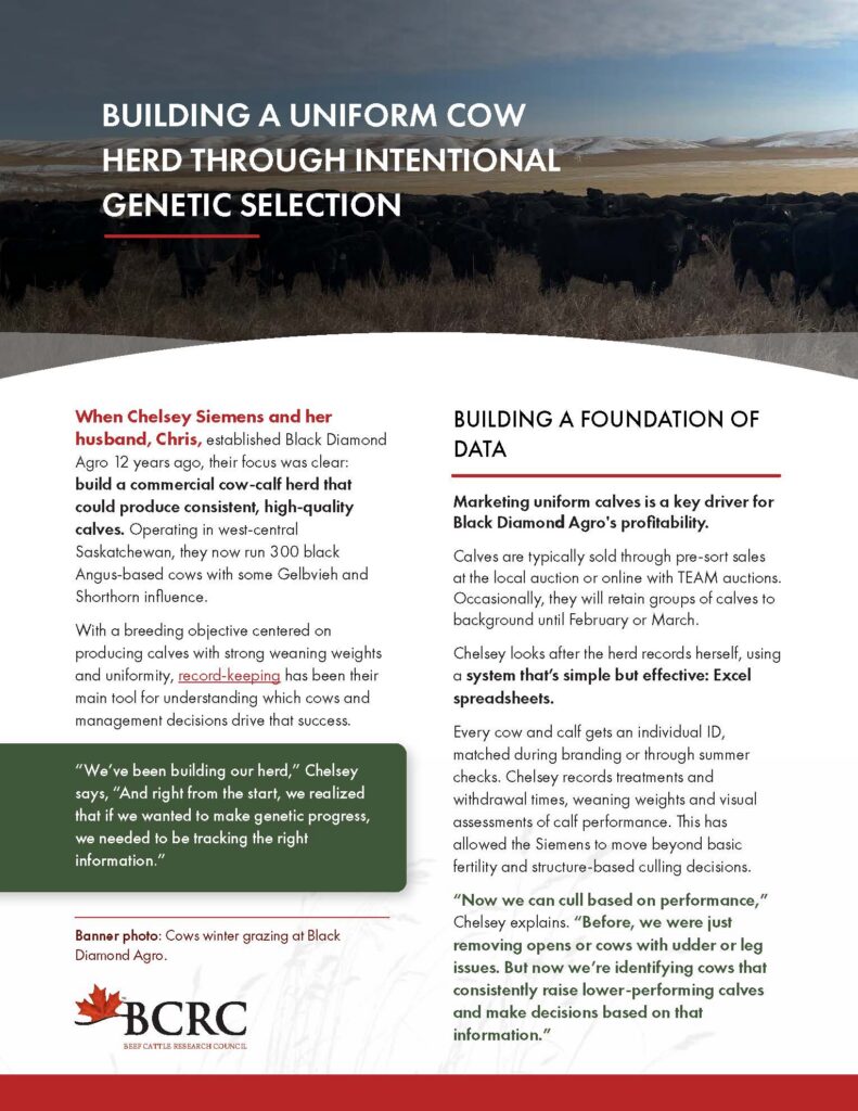 Black Diamond Agro genetic case study